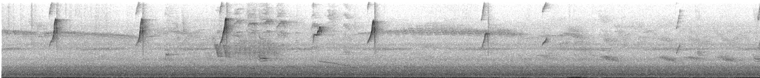 Gray-chinned Hermit - ML645660702