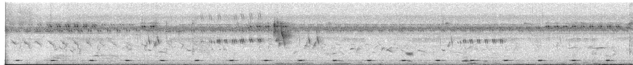 Coppersmith Barbet - ML645660703