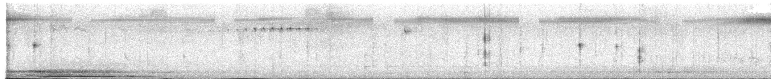 Tawny-bellied Babbler - ML645660737