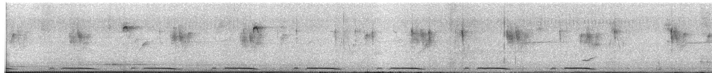 Spotted Dove - ML645660793