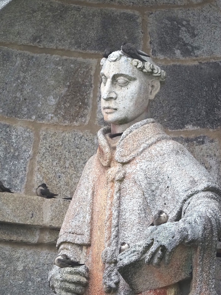 Avión Roquero - ML645661354