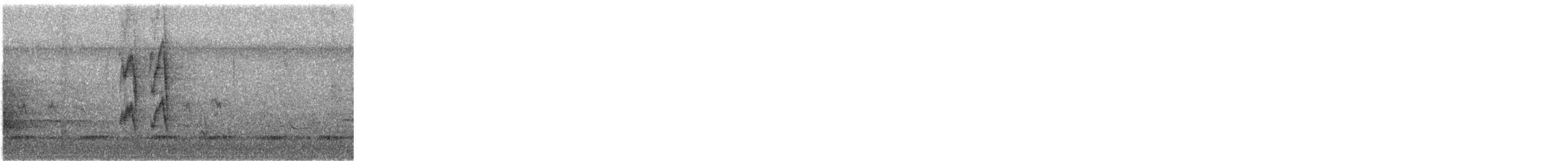 Zorzal Americano - ML645661368