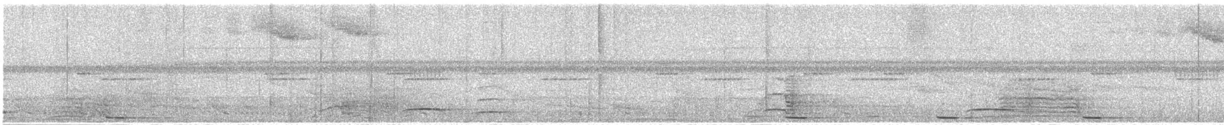 Large-headed Flatbill - ML645661475