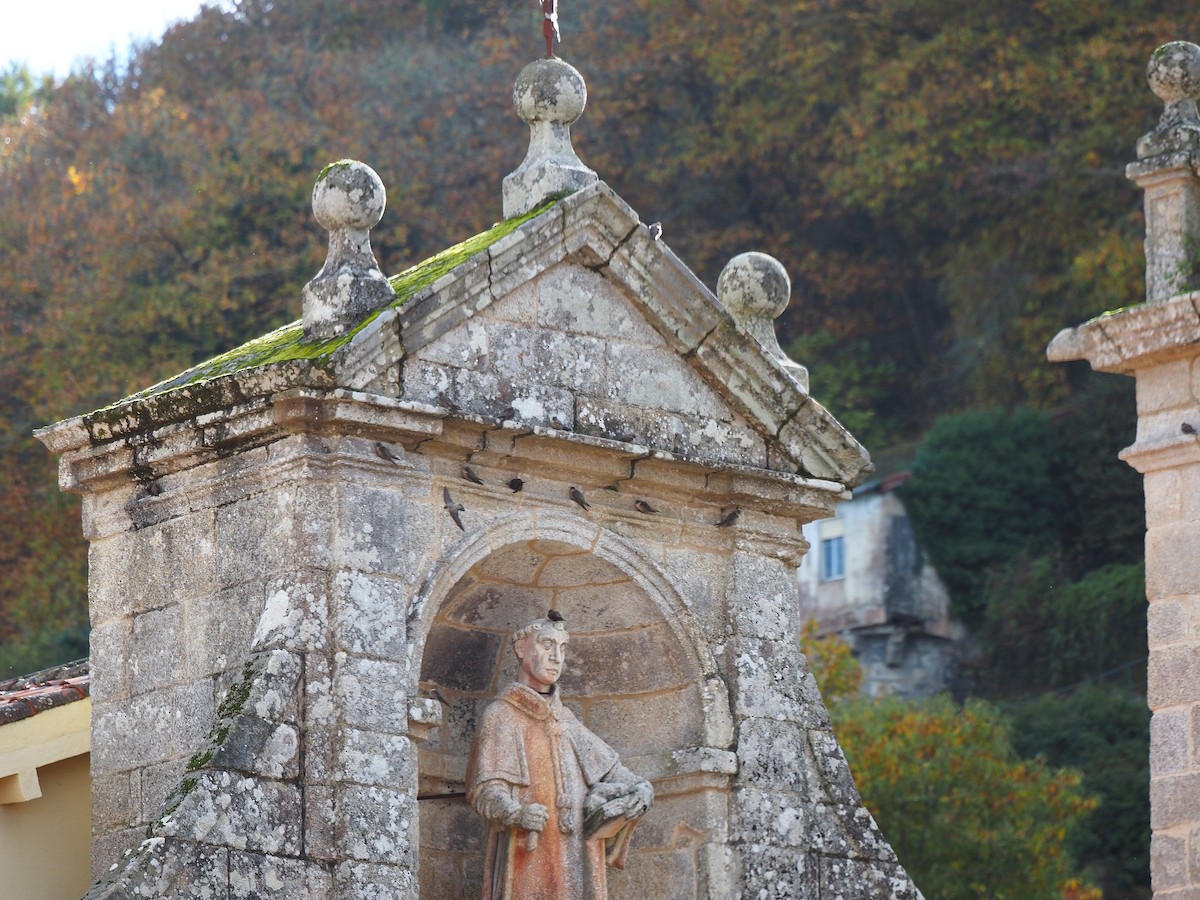 klippesvale - ML645661675