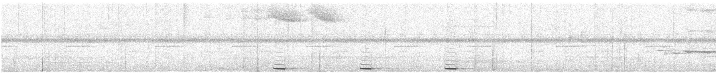 Amazonian Antpitta - ML645661685