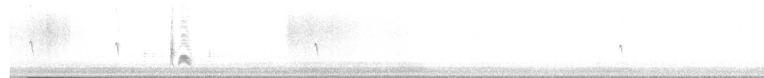 Cassin's Kingbird - ML645661792