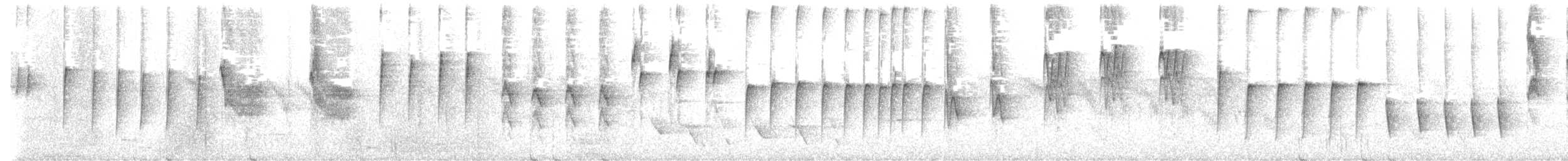 North Island Robin - ML645662293
