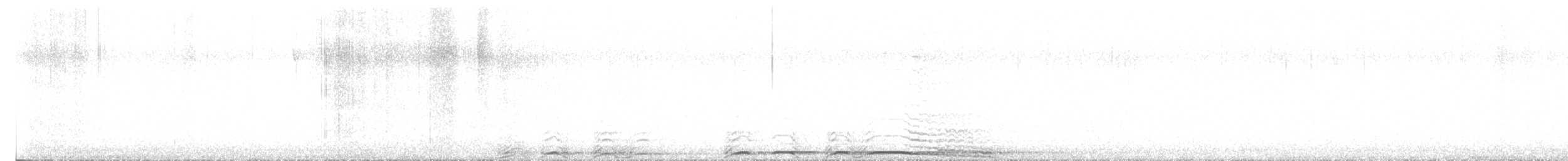 Barred Owl - ML645662324