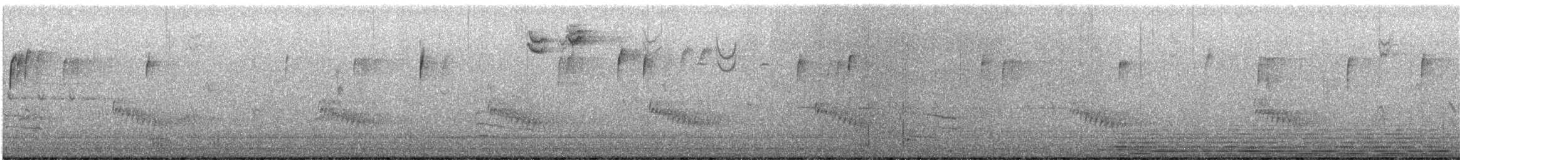 tanımsız Aves sp. - ML645662514