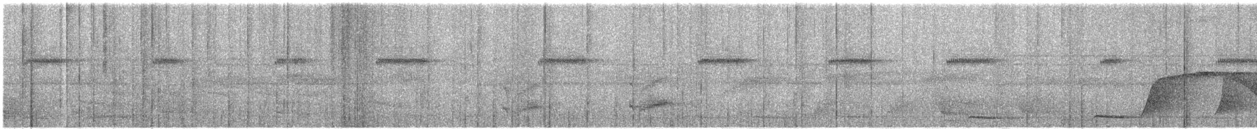 kotinga křiklavá - ML645662939