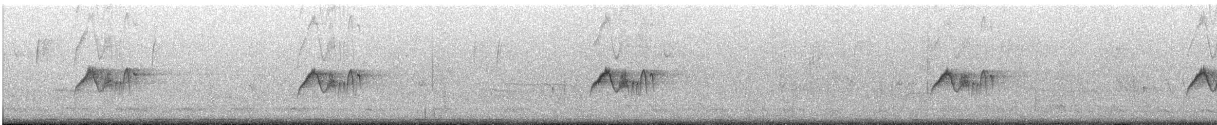 Eastern Phoebe - ML645663008