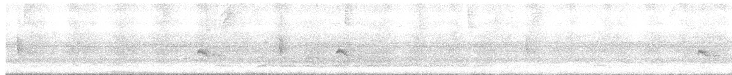 Euler's Flycatcher - ML645663760