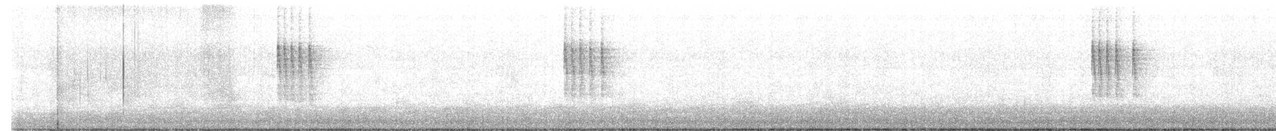 Pacific Wren - ML645663852