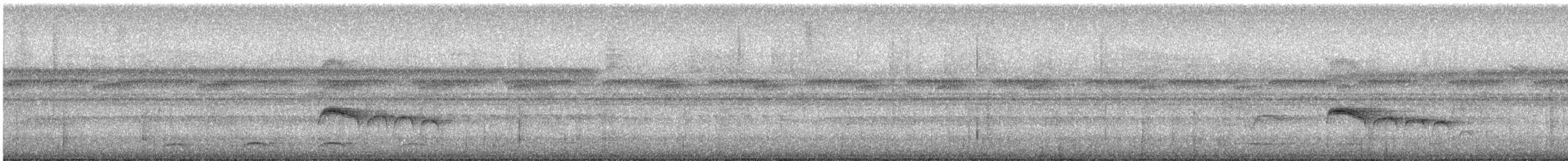 Euler's Flycatcher - ML645663981