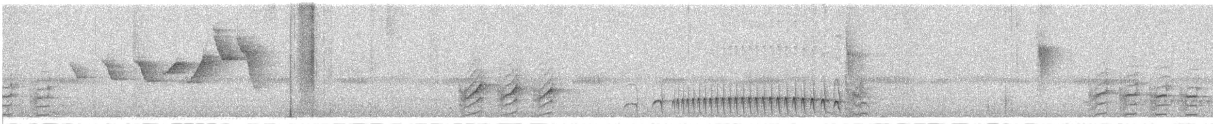 Pale-bellied Tyrant-Manakin - ML645665098