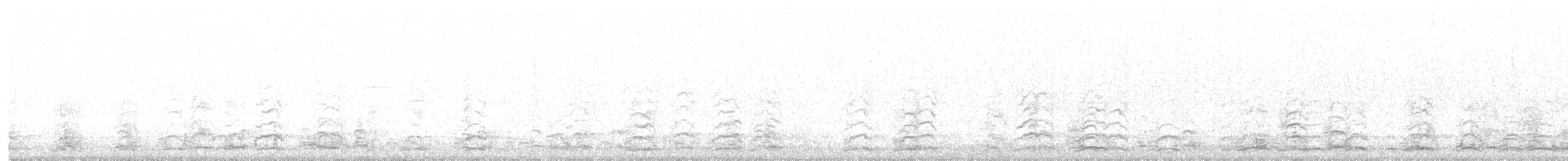 Snow Goose - ML645665407