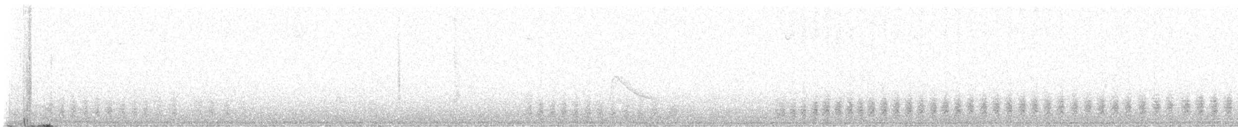 Yellow-billed Cacique - ML645665408