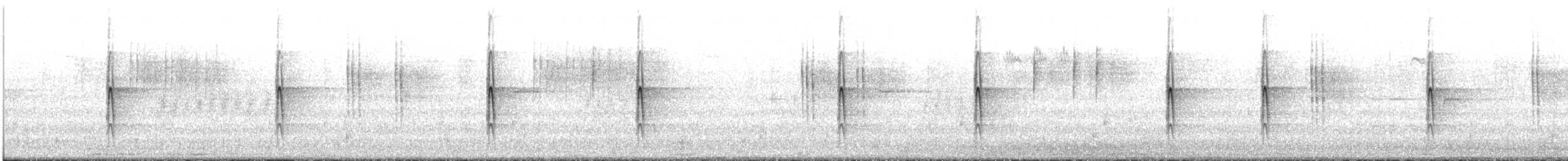 Picchio rosso maggiore - ML645665827