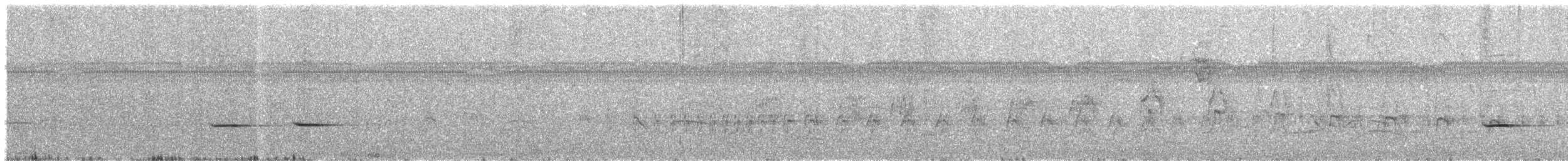 Striped Cuckoo - ML645666558