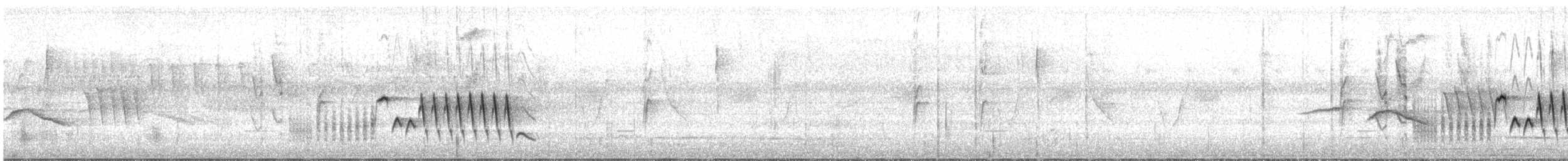 Southern House Wren - ML645666655