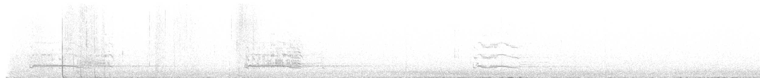 Australasian Swamphen - ML645668712