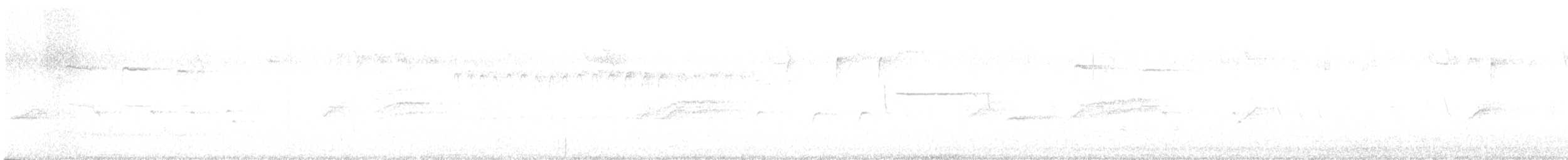 Hermit Thrush - ML645670159