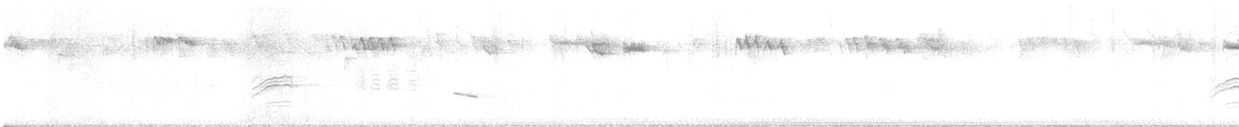 Hermit Thrush - ML645670193