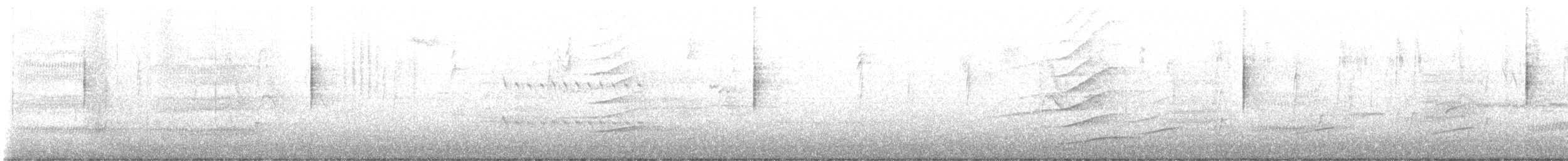 MacGillivray's Warbler - ML645670979