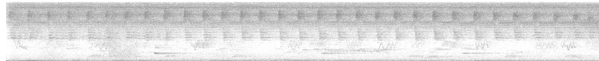 Bare-throated Bellbird - ML645670986