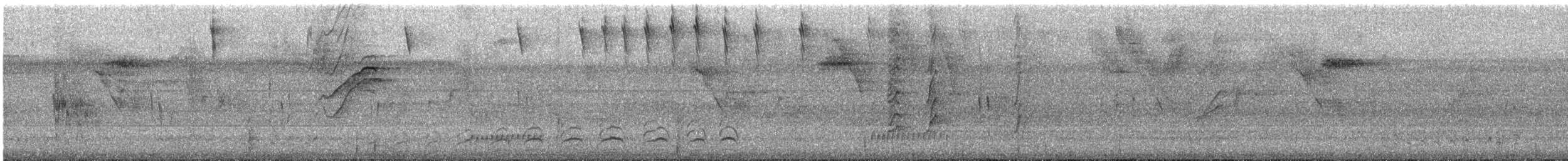 Hook-billed Kite - ML645671032