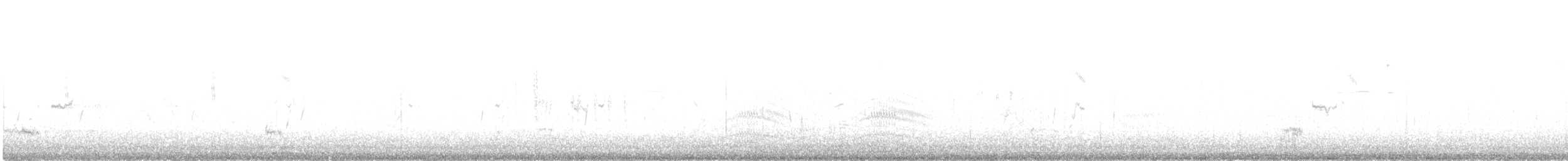 Gruccione - ML645671329