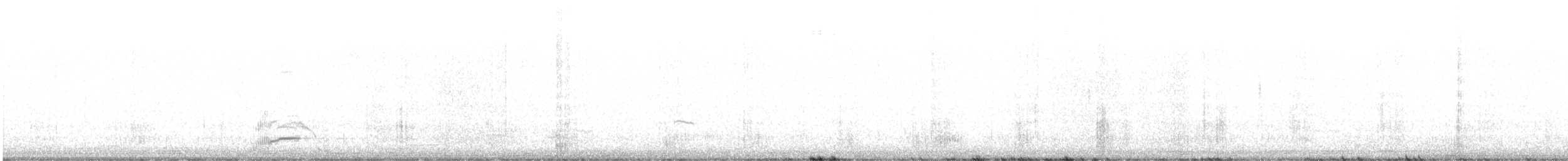 Cigno reale - ML645671522