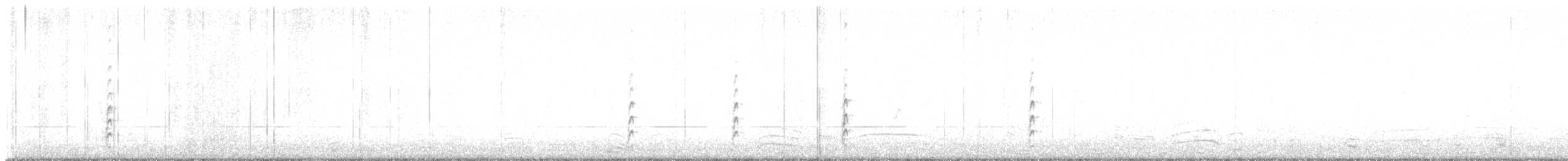 Black-necked Stilt - ML645671648