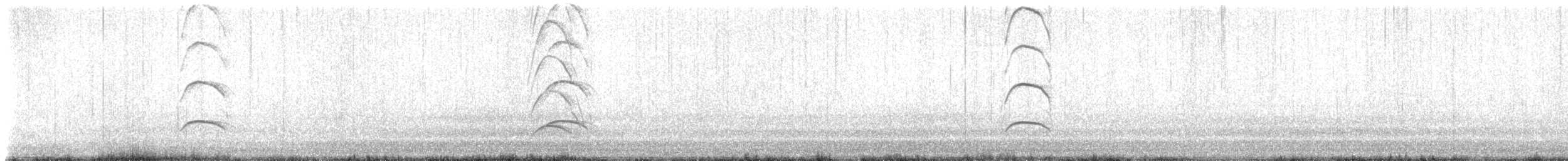 Black Oystercatcher - ML645671708