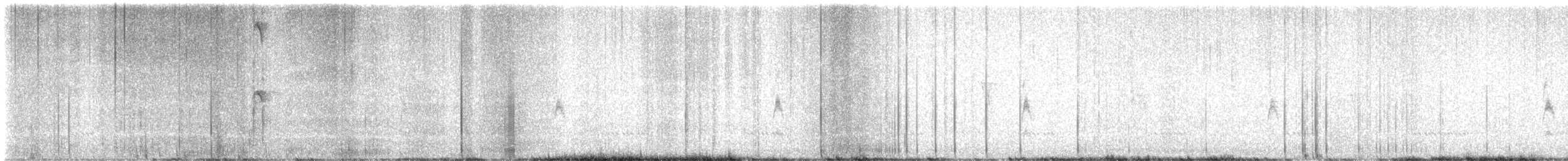 Song Sparrow - ML645671742