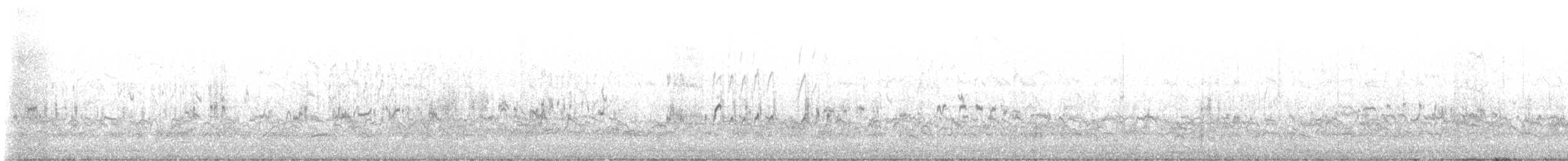 Piovanello pancianera - ML645672040