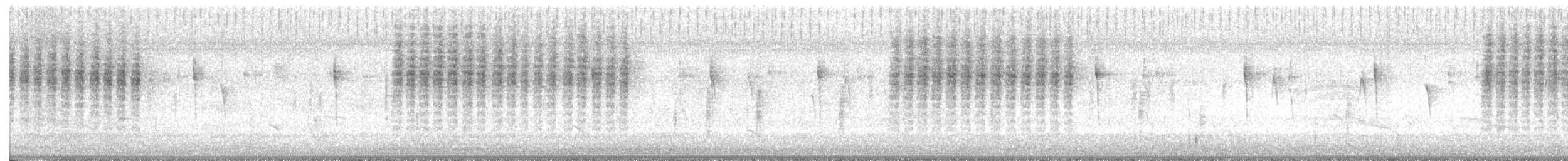 Northern House Wren - ML645672087