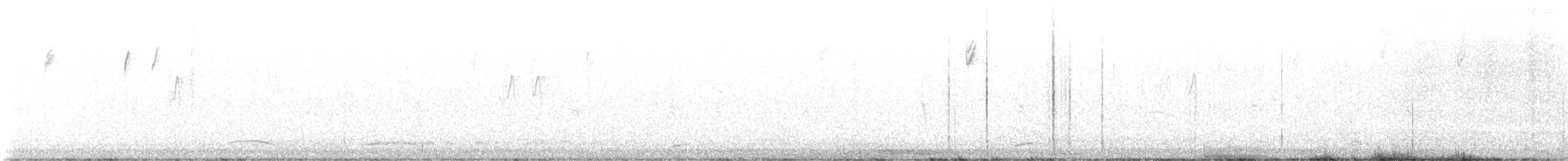 Sprague's Pipit - ML645672115