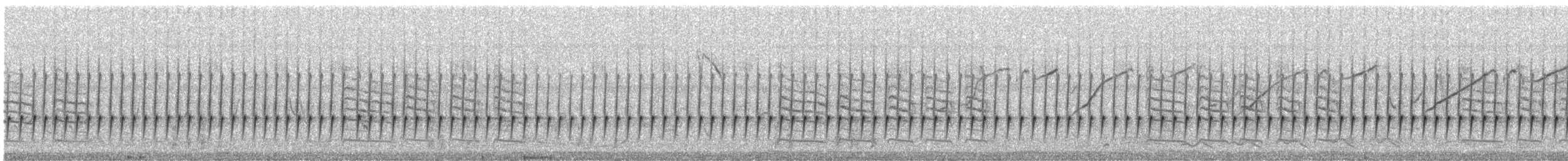 Jungle Prinia - ML645673348