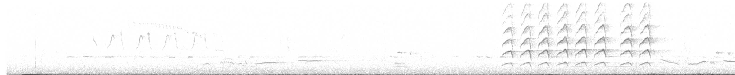 Noisy Miner - ML645673420