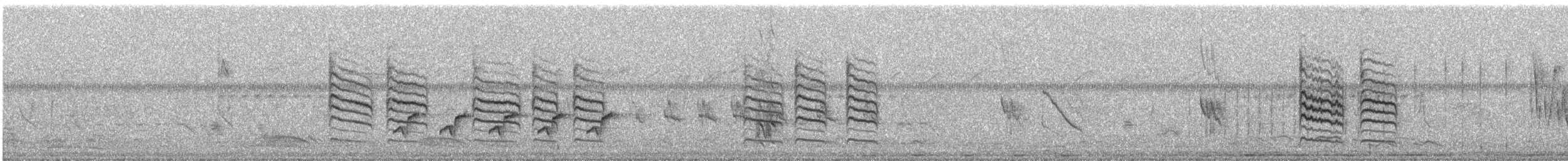 Ashy Prinia - ML645673425