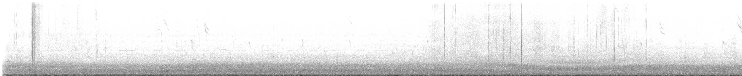 Chingolo Sabanero - ML645674074