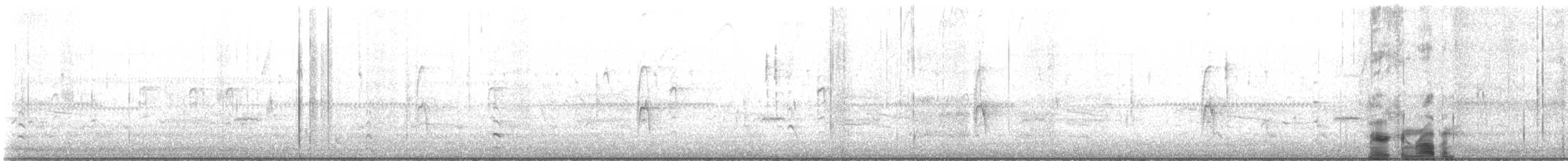 Zorzal Americano - ML645674703