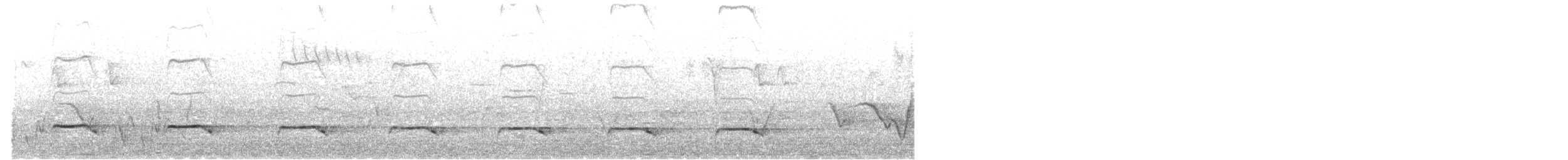 Cuco Varioloso - ML645674734