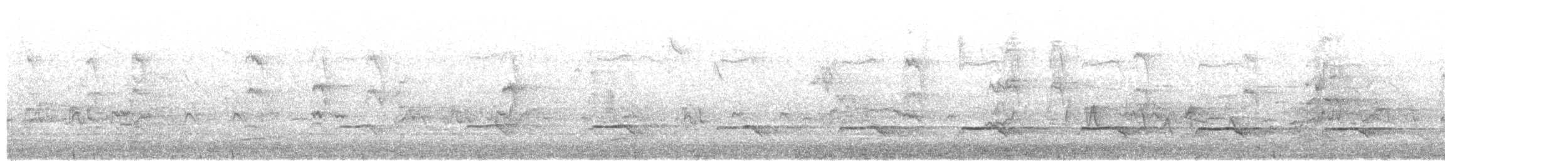 Cuco Varioloso - ML645674736