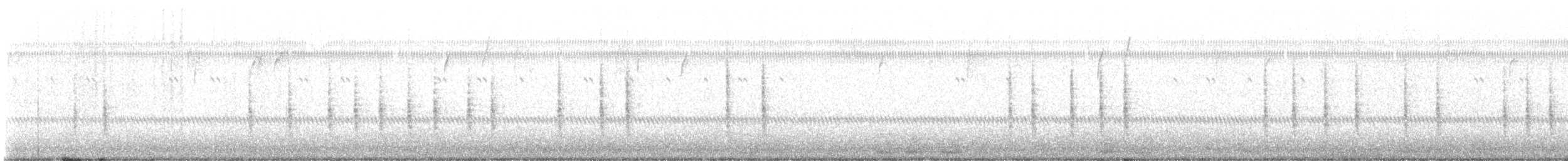 Chochín Criollo Norteño - ML645674737