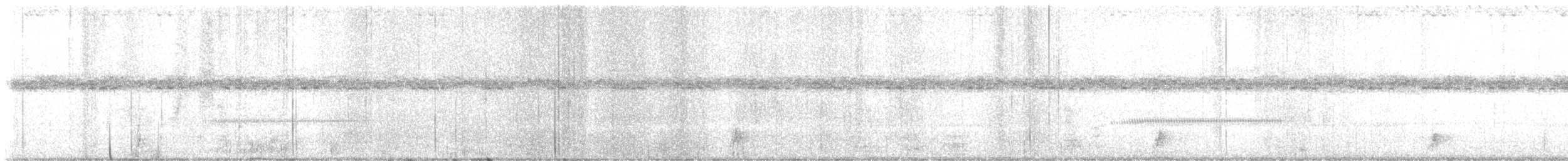 Дрімлюга канадський - ML645676663