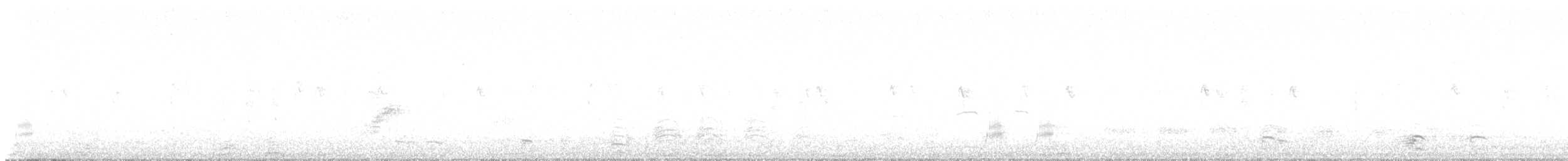 Тауї східний - ML645677653