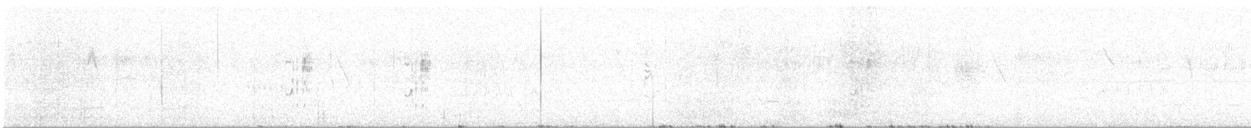 Тачурі-сірочуб бразильський - ML645677786