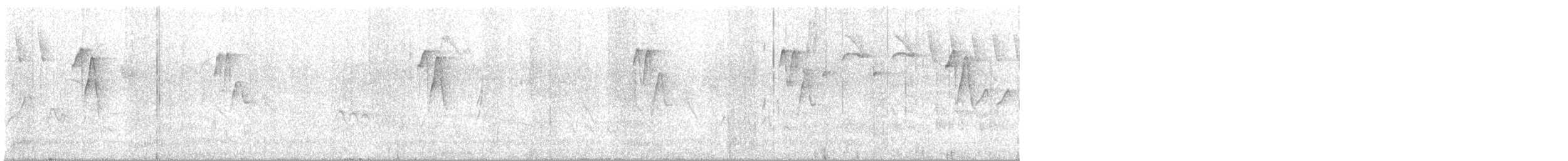 Ерміт бразильський - ML645677890